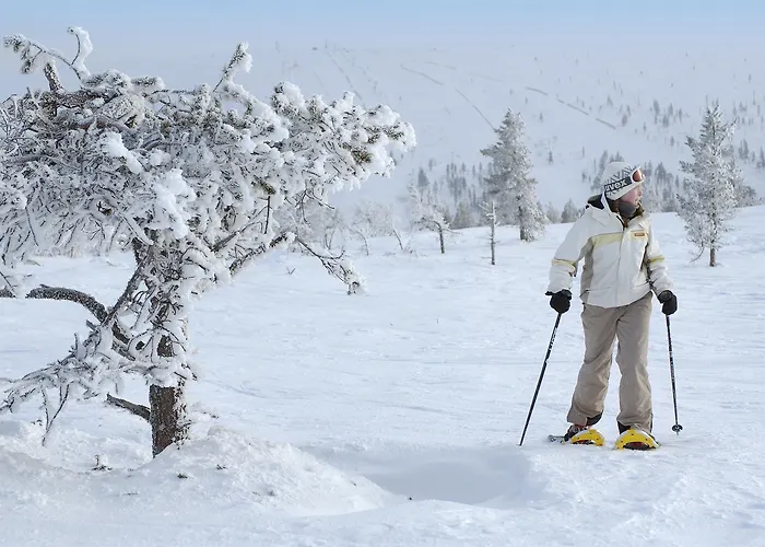 ホリデー クラブ