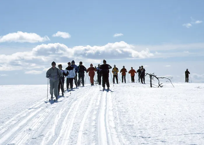 ホリデー クラブ * サーリセルカ