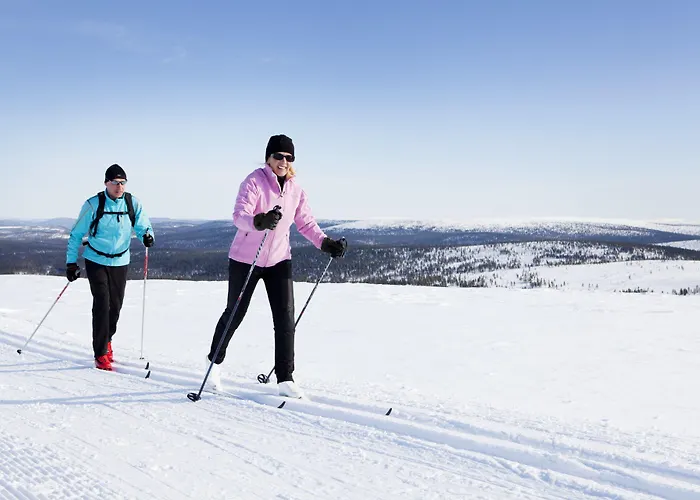 ホリデー クラブ アパート サーリセルカ